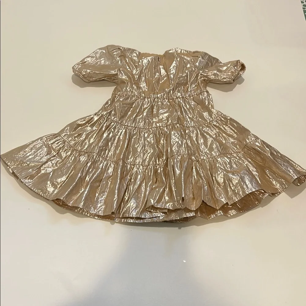 Crewcuts elegant dress
